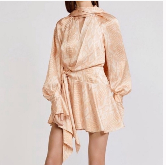 Acler Dresses & Skirts - Acler Bradley Puff Cobra dress size 8 NWT